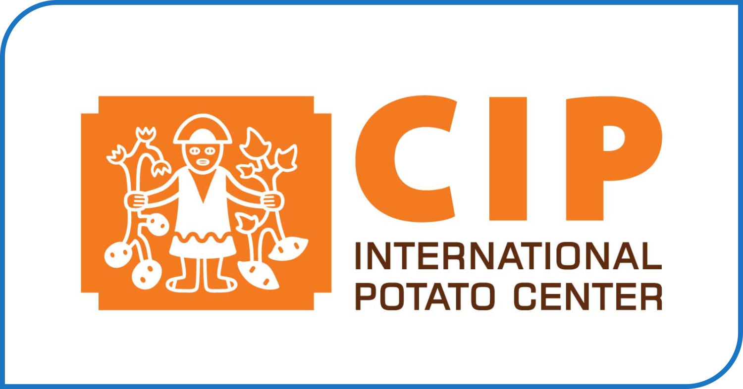 international potato